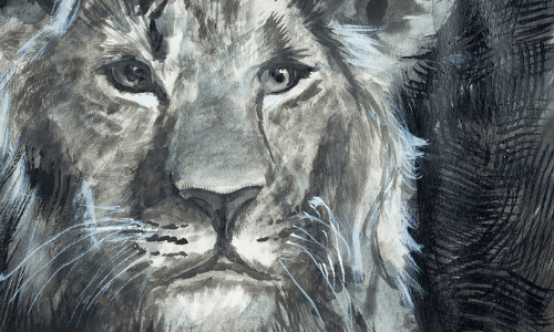 Lion artwork with Liquid Pencil 