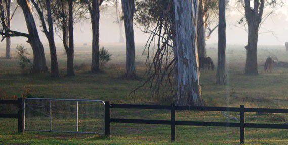 Anti Crib Fence image