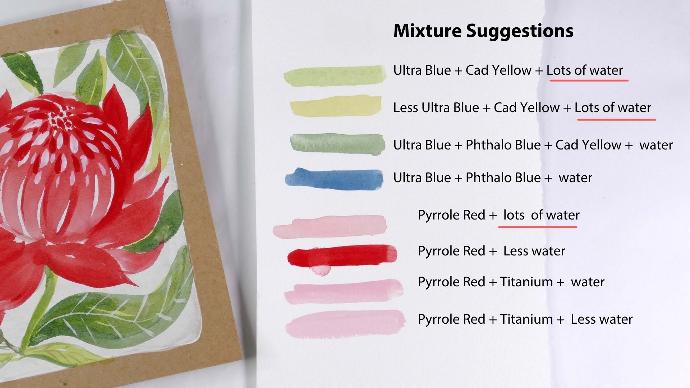 Watercolour Australian native flowers Colour mixing suggestions