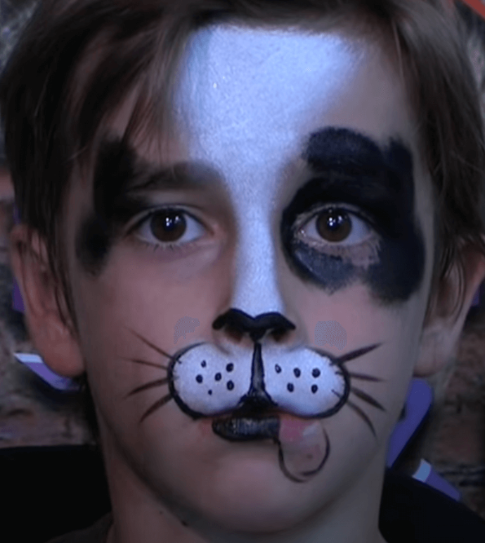 Cat Whiskers Face Paint