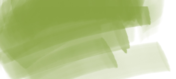  DERIVAN ERGOPRO MARKER LEAF GREEN