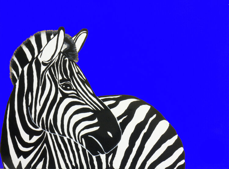  ZEBRA PAINTING - BLUE SET