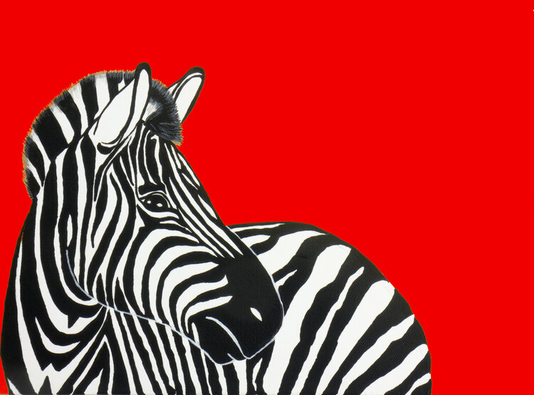  ZEBRA PAINTING - RED SET