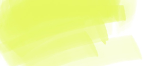 [79EP042]  DERIVAN ERGOPRO MARKER CHARTREUSE