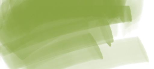 [79EP048]  DERIVAN ERGOPRO MARKER LEAF GREEN